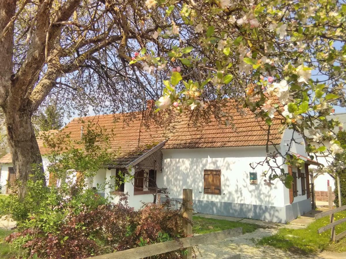 Rust Aan De Es Boom Vila Hollad Exterior foto